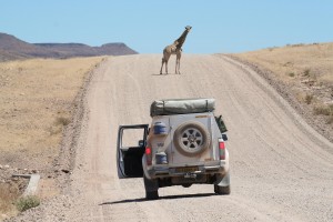 Matratzen nach Afrika transportieren